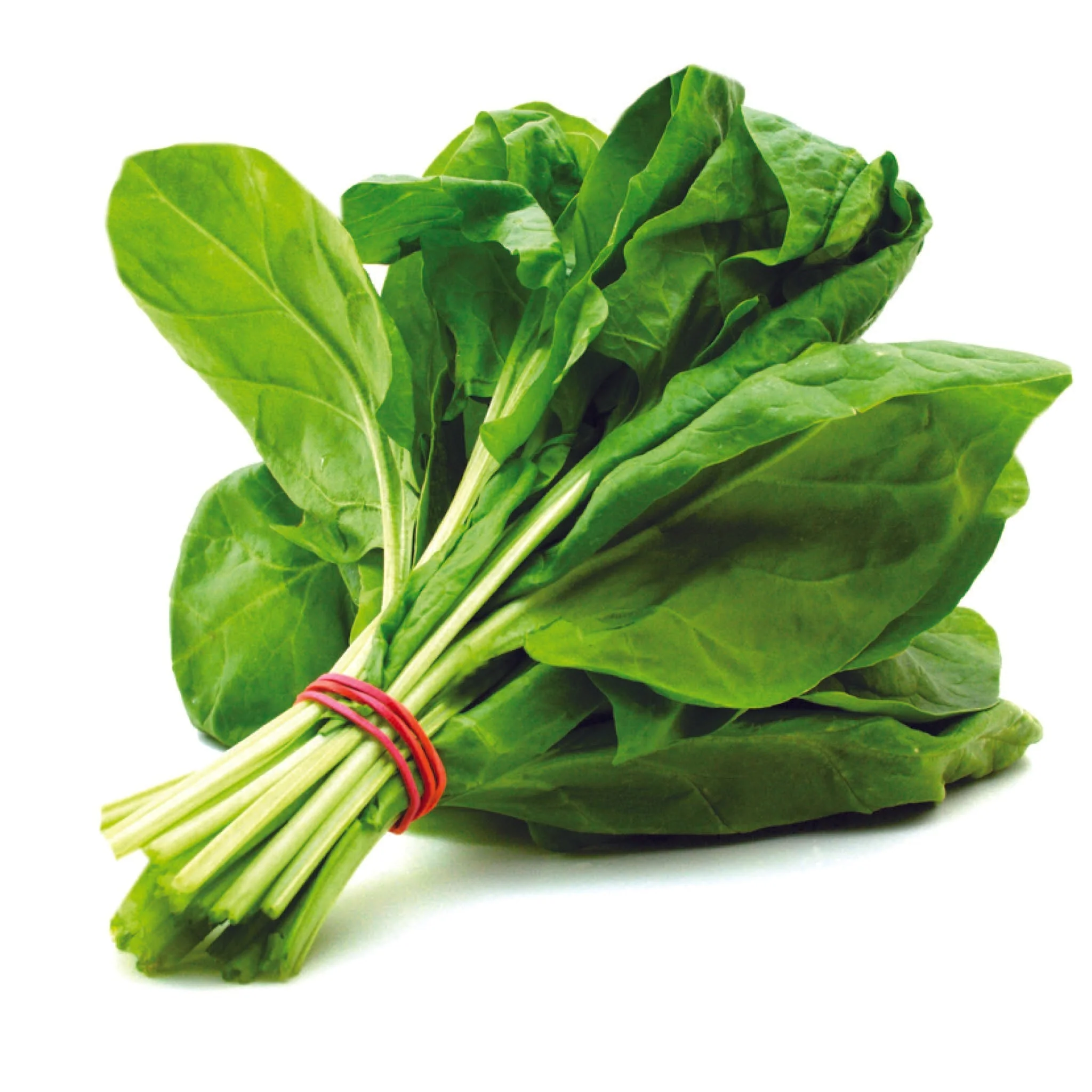 Organic Spinach - 500g