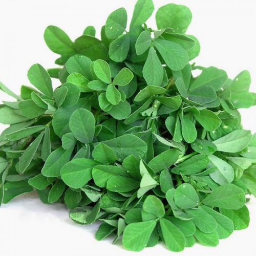 Methi 500g